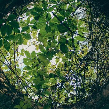 Fallout shelter and old railway building