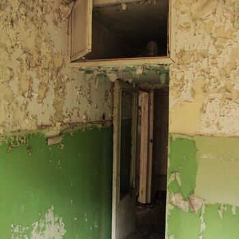 Kyjeváky in der Siedlung Ploužnice 2023