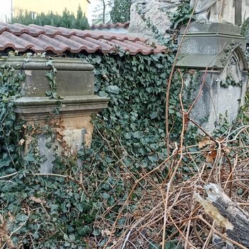 Friedhof 2022 Friedhof 2022