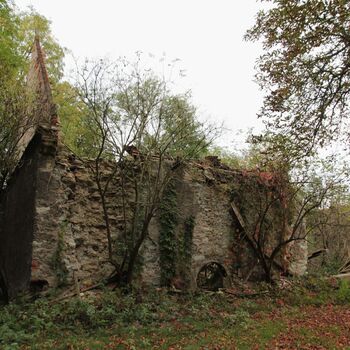 Pepper 2023 Pepper 2023