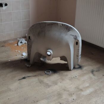 Mystery in Germany 🤫