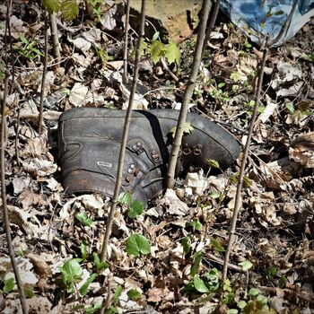 tool shovel hand tool