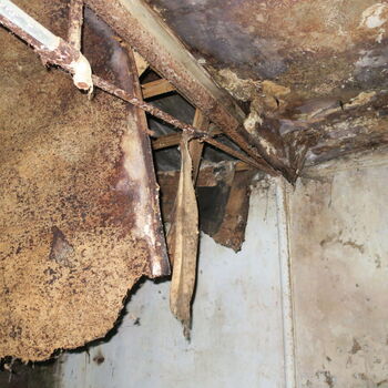 Barevná Drůbežárna