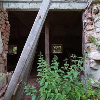 das Schloss, das jeder kennt...