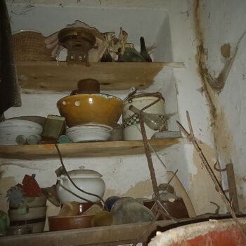 Homestead with a pond