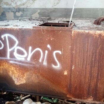 freight car car wheeled vehicle vehicle graffito