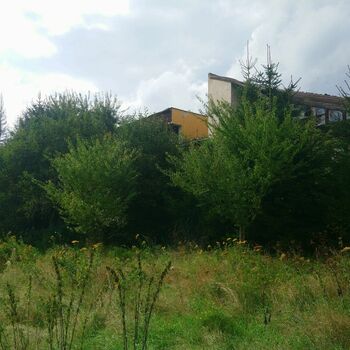 strom krajina obloha strom krajina obloha