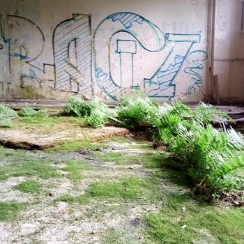 sgrafity dekorace sgrafity dekorace