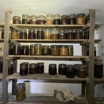 Abandoned farmhouses side by side.