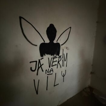 Aunt Omega, or I Believe in Fairies