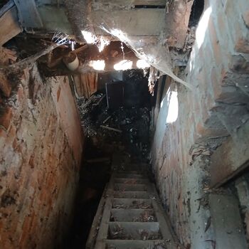 The house by the old vermin factory