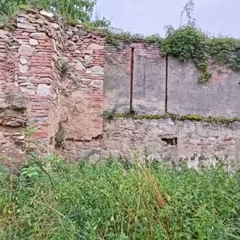 das Schloss, das jeder kennt...