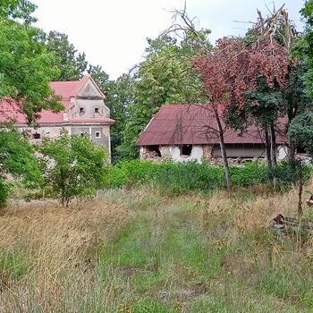 das Schloss, das jeder kennt...