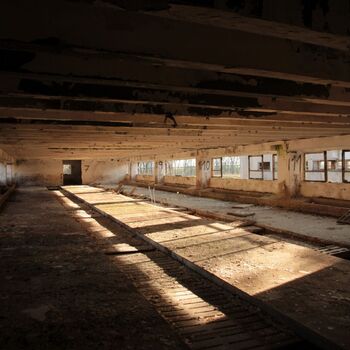 Riesiges Sparschwein