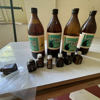 Schule im Freien 2022 - Teil 4 Schule im Freien 2022 - Teil 4