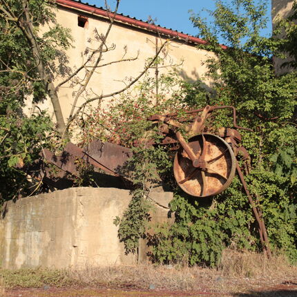 Agricultural area with hop drying plant 2023