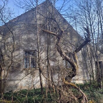 🐕‍🦺POZOR BAD DOG