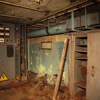 Maple 52 with swimming pool