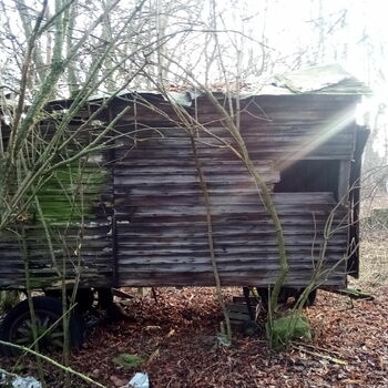 chýše struktura přístřeší