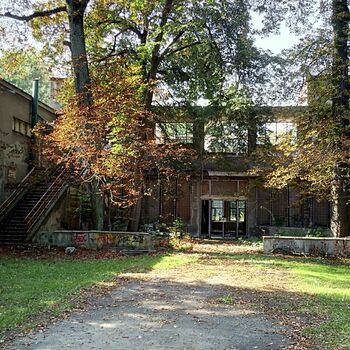 garden tree house building architecture