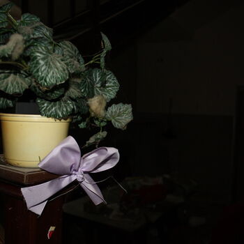 Wo ist der Graf geblieben? Das verlassene Schloss