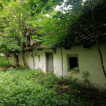 The seat of the exiles The seat of the exiles