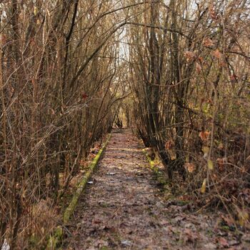 Soviet hospital on the outskirts of the city Soviet hospital on the outskirts of the city