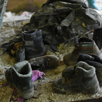 Slávka mlžů měkkýš bezobratlí