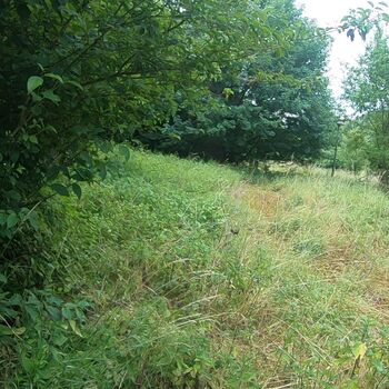 Urbex - Pionýrský tábor J.....  SK