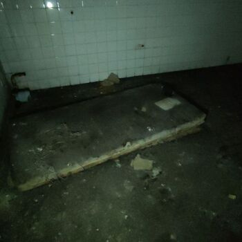 Institute for mentally handicapped children 🦋