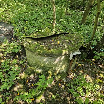 Dům v ovocné zahradě.