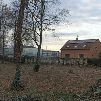 Friedhof 2022 Friedhof 2022