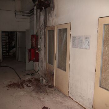 Versicherungsschutz unter dem Sitz der Autofirma Versicherungsschutz unter dem Sitz der Autofirma