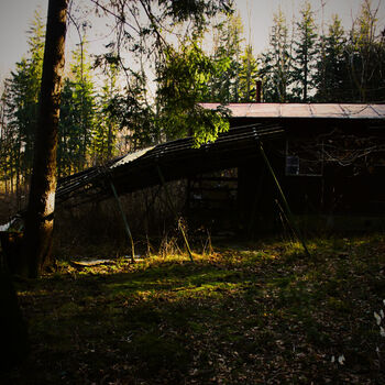 🏕️ Tábor, kde kdysi trávily léto stovky dětí… dnes ho pohlcuje ticho a příroda