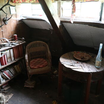 A grove in the borderlands.