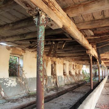 Landwirtschaftliche Fläche mit Hopfentrocknungsanlage 2023