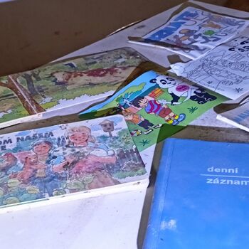 Genesungsheim Černovice