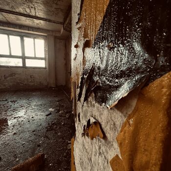 Timber production 2023