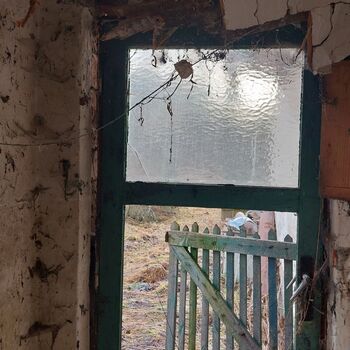 OPUŠTĚNÝ DOMEK U HLAVNÍ SILNICE