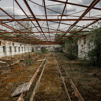 Pigsty and stables Pigsty and stables