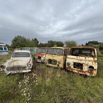 Der bekannte Friedhof der Krankenwagen