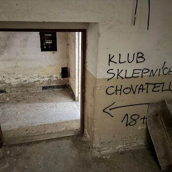 Vláďa má malé péro