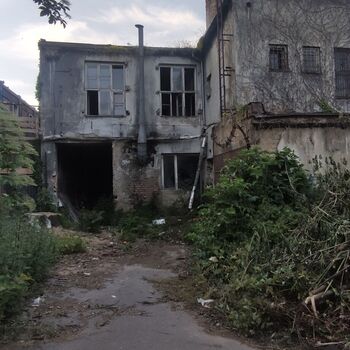 Typia Printing House 📜⏳🏚️