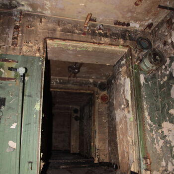 Maple 52 with swimming pool