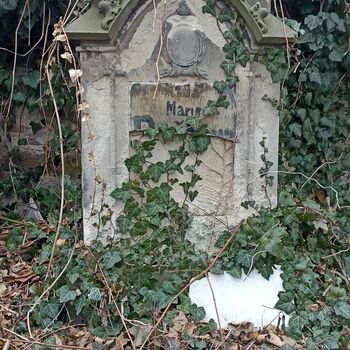 Friedhof 2022 Friedhof 2022