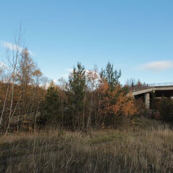 VEGA Group VEGA Group