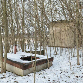 sníh strom zima Les studené stromy krajina počasí