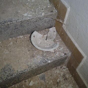 Urbex - Krysi-Schloss 2024