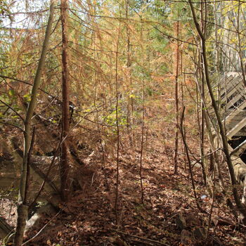 Spinning mill and spinning mill Spinning mill and spinning mill