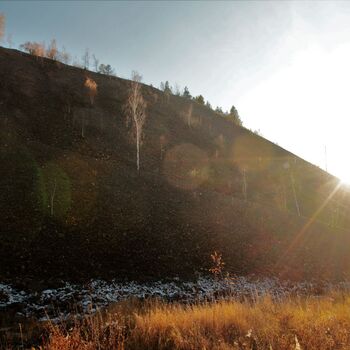 Zu "Fünfzehn" Zu "Fünfzehn"